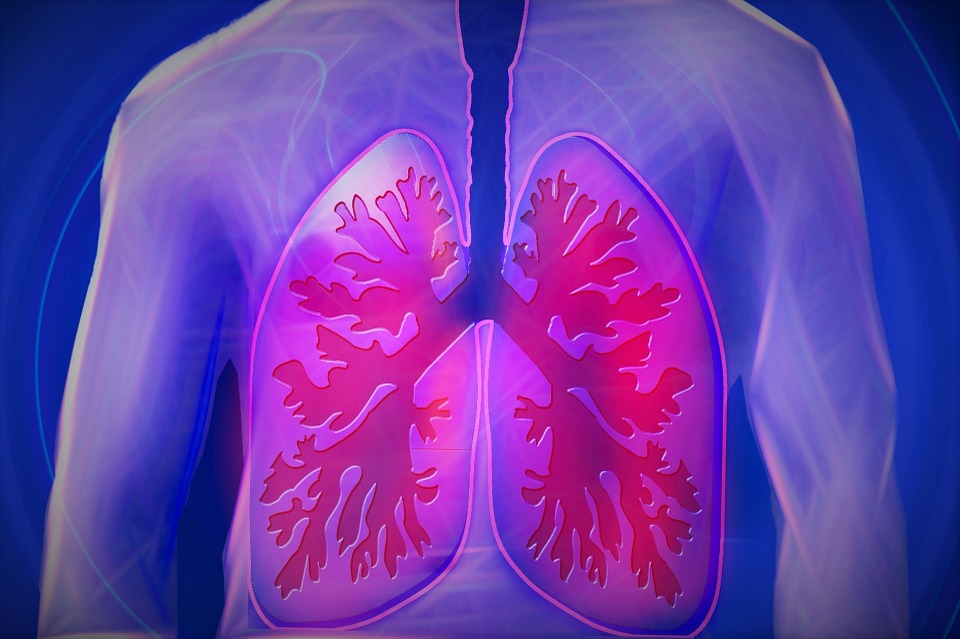 facteurs de risque du poumon