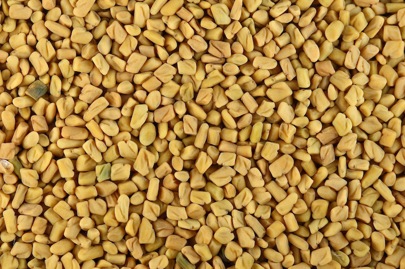 Comment consommer le Fenugrec en graines ?