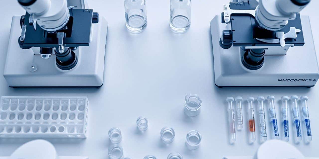 Tout savoir sur les anticorps polyclonal et différence avec anticorps monoclonal